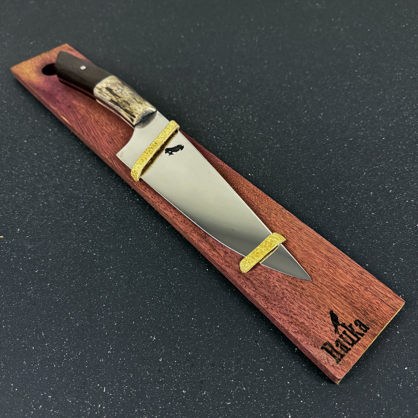 Cuchillo Parrillero 32cm "Concón"