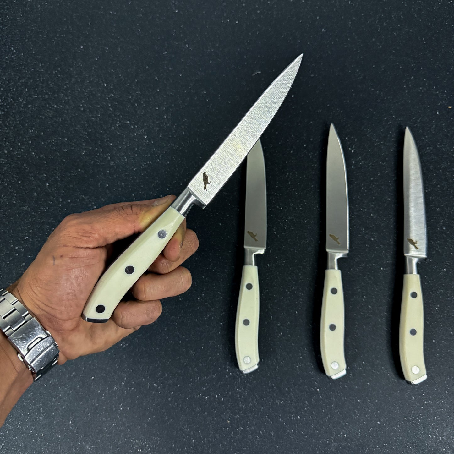 Set de 4 Cuchillos de Mesa Acero Inoxidable 23cm "Parva"