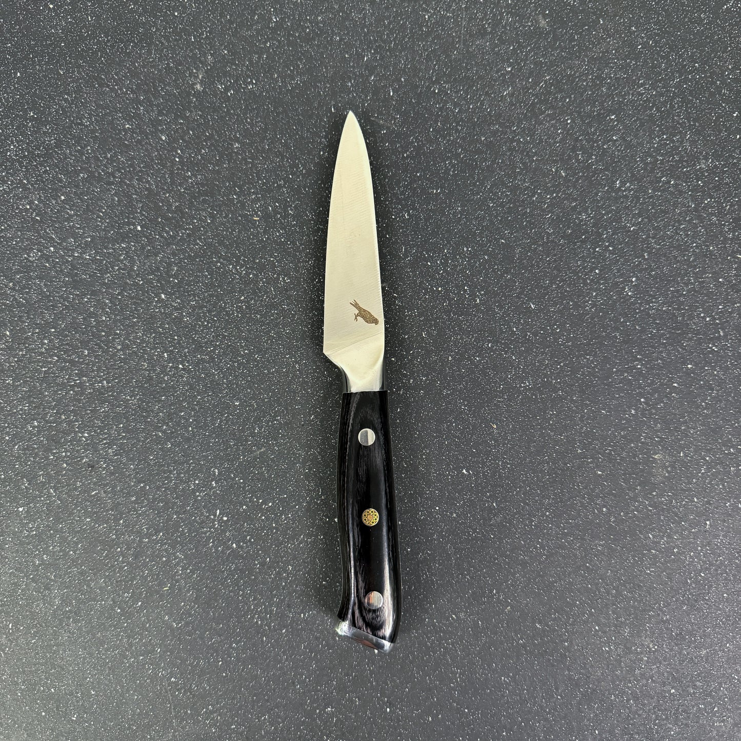 Vista completa del Cuchillo Puntilla de Acero Inoxidable 20cm "Tolhuaca"