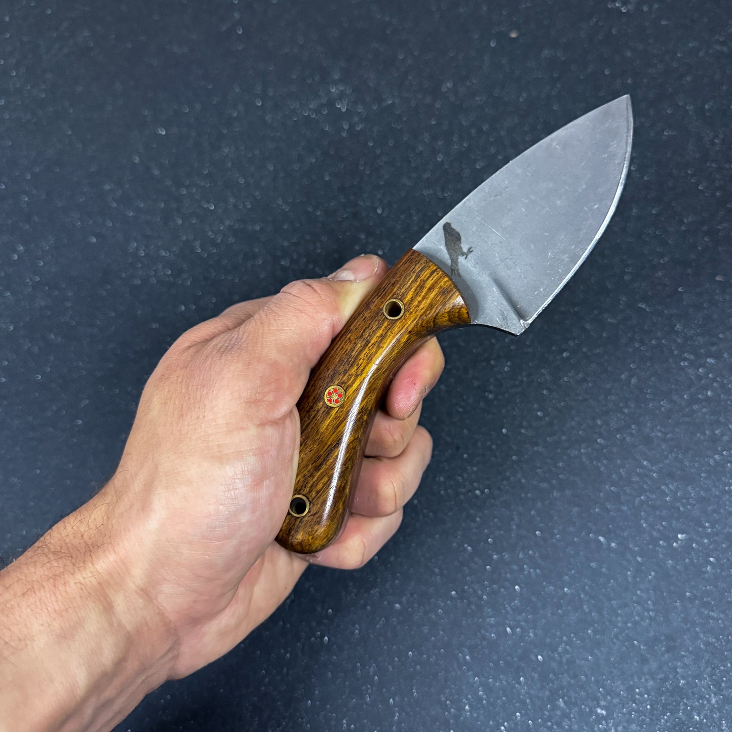 Cuchillo Verijero 18cm "Tortel"