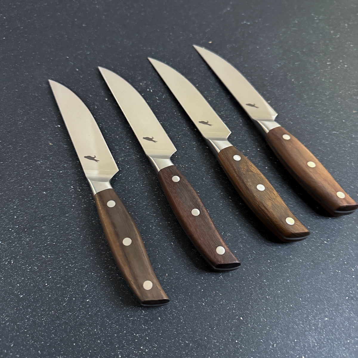 Set de 4 Cuchillos de Mesa de Acero Inoxidable "Sollipulli"