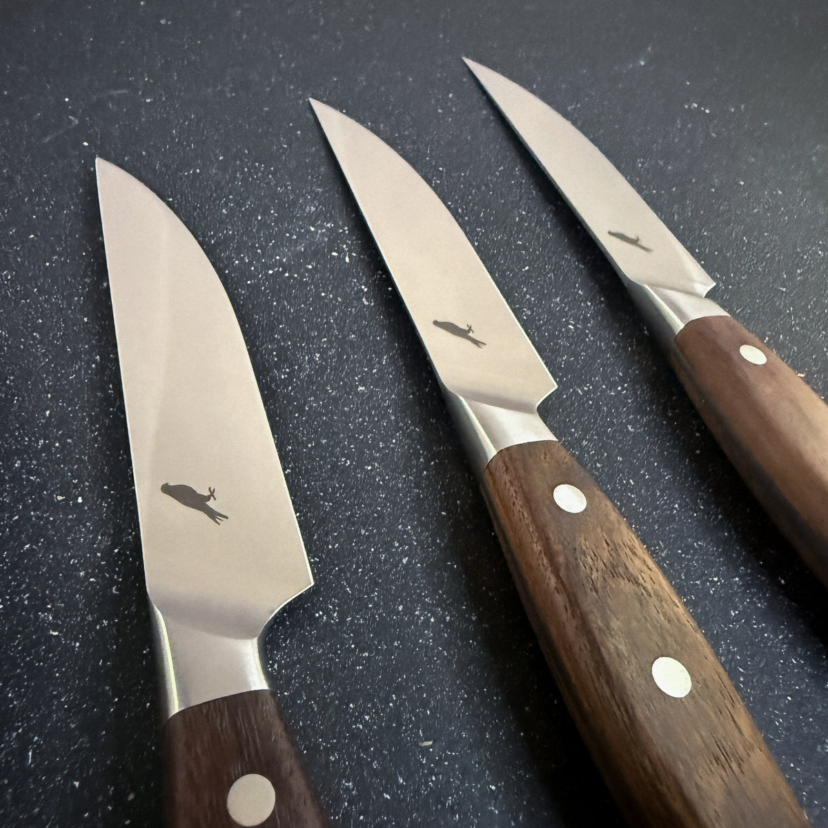 Set de 4 Cuchillos de Mesa de Acero Inoxidable "Sollipulli"