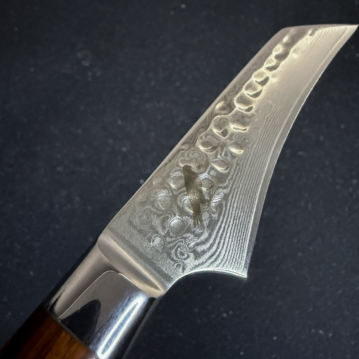 Cuchillo Puntilla de Cocina de Acero Damasco "Arenales"