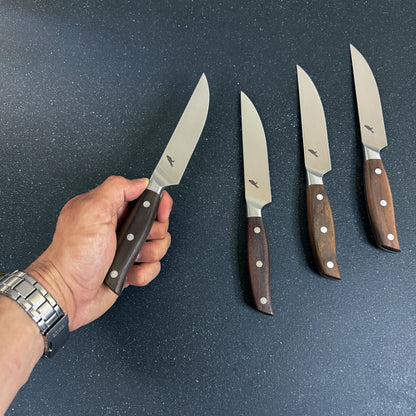 Set de 4 Cuchillos de Mesa de Acero Inoxidable "Sollipulli"
