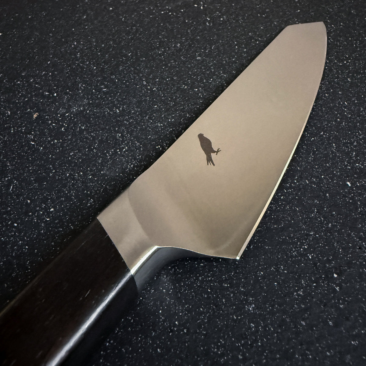 Cuchillo Utilitario de Acero Inoxidable "Tolhuaca"