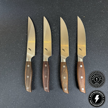 Set de 4 Cuchillos de Mesa de Acero Inoxidable 23cm "Sollipulli"